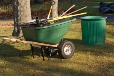 Yard Cleanup Services