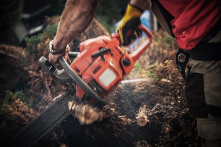 Emergency Tree Removal Service