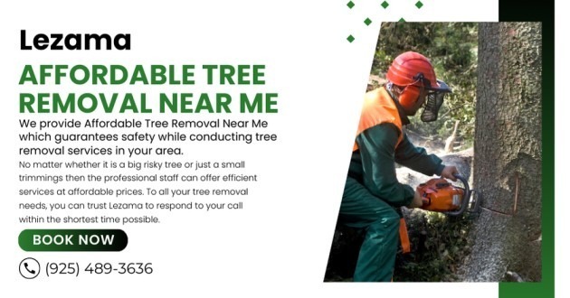 Read more about the article Affordable Tree Removal Near Me