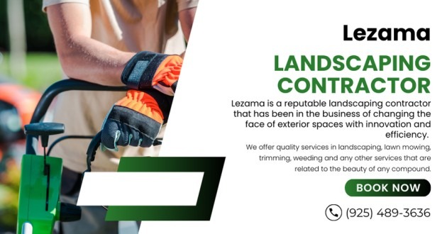 Read more about the article Landscaping Contractor