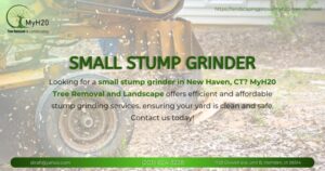 Small Stump Grinder