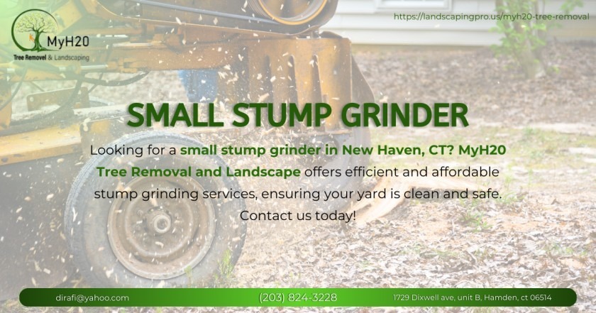 Read more about the article Small Stump Grinder