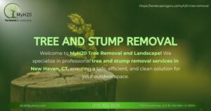 Tree and Stump Removal