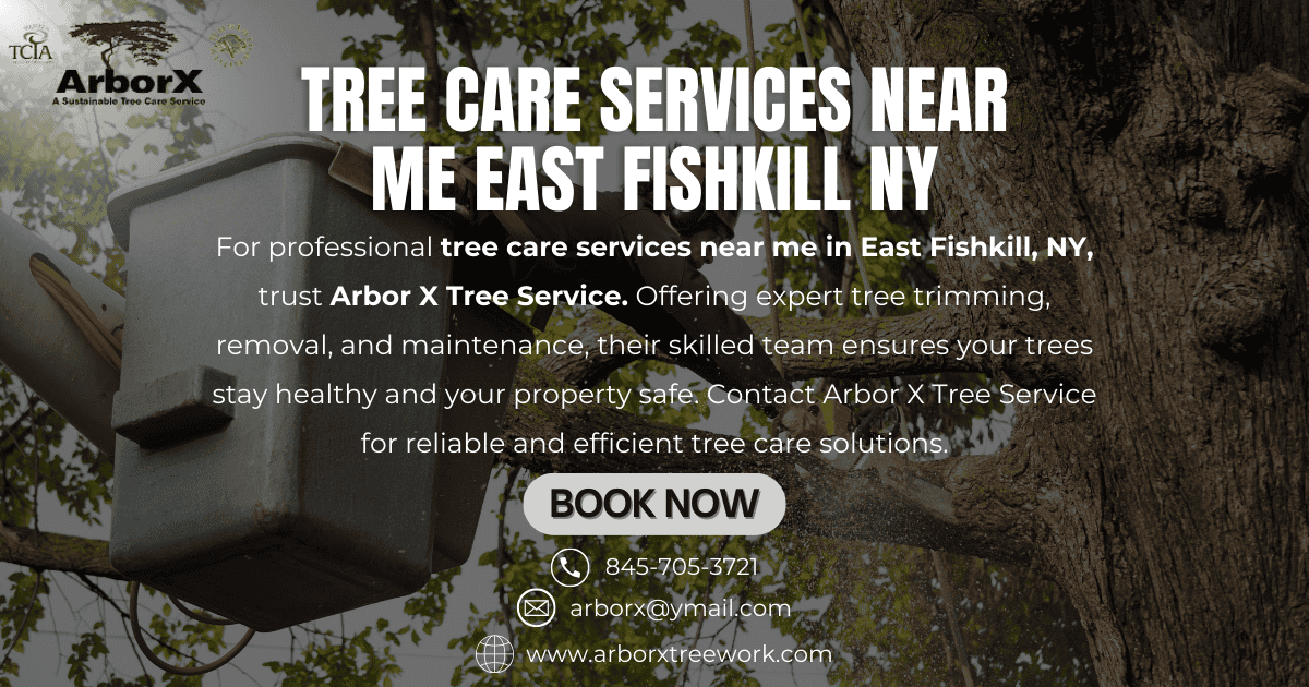 Tree Care Services Near Me