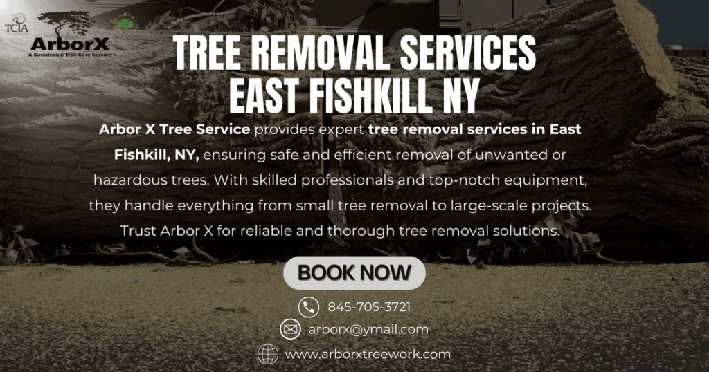 Tree Removal Services