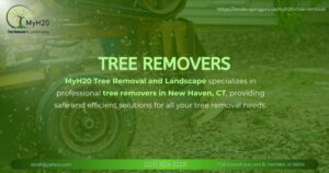 Tree Removers