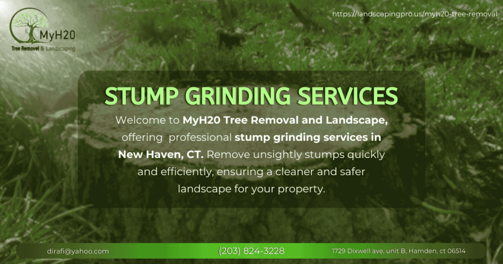 Stump Grinding Service