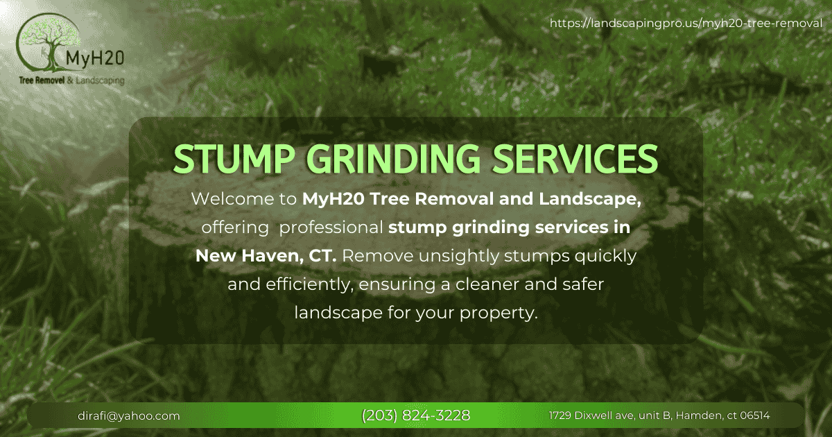 Read more about the article Stump Grinding Service