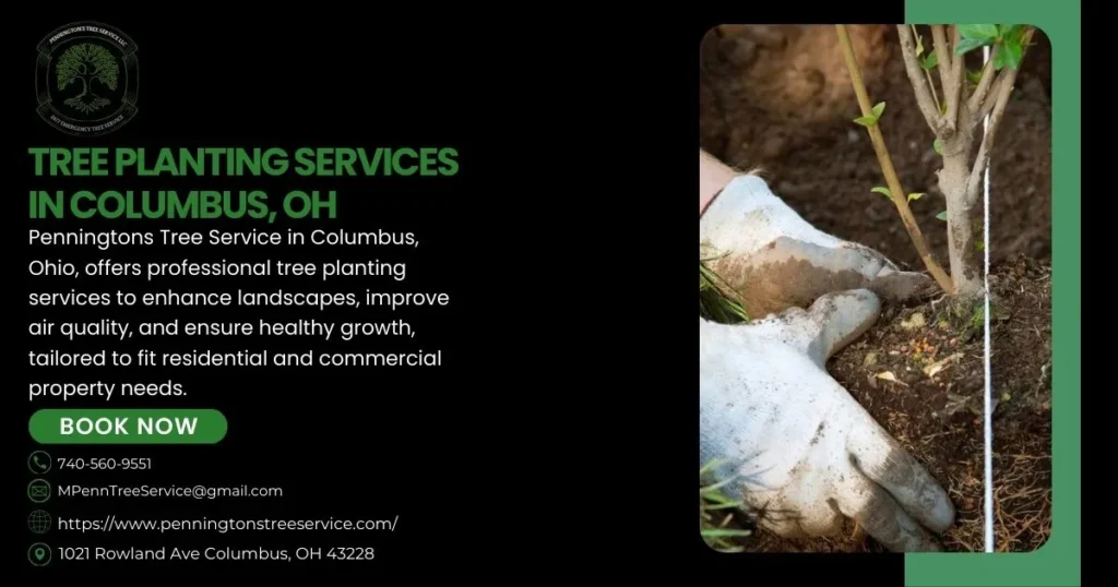 Tree Planting Services