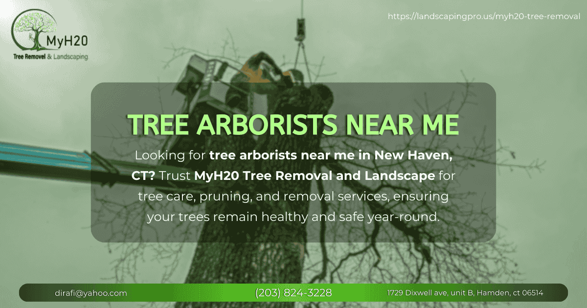 Read more about the article Tree Arborists Near Me