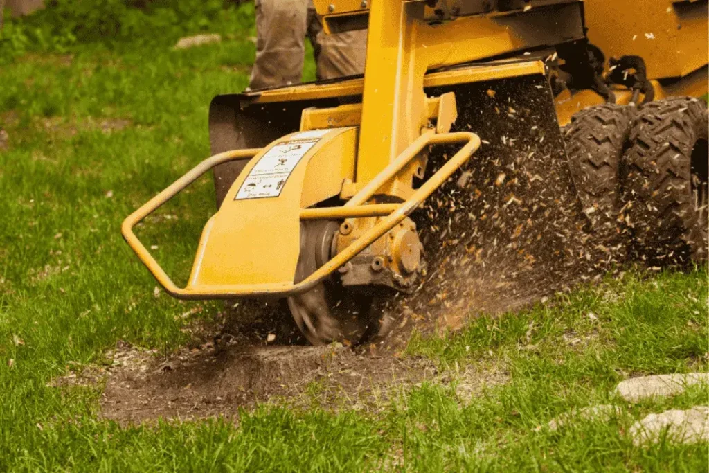 Tree stump removal