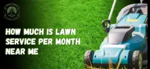 How Much Is Lawn Service Per Month Near Me