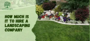 How much is it to hire a landscaping company