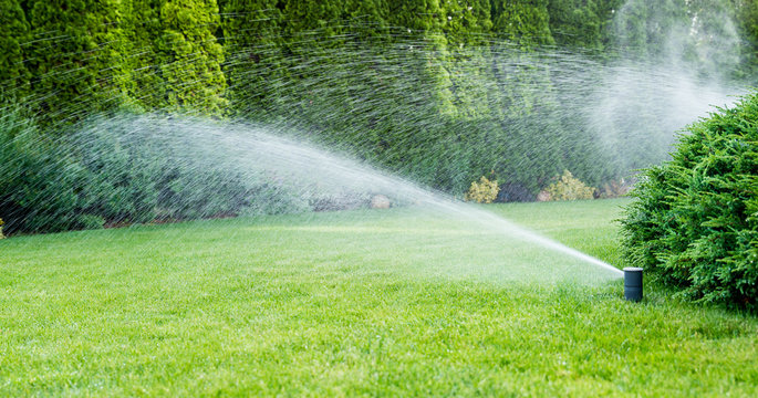 Sprinkler System