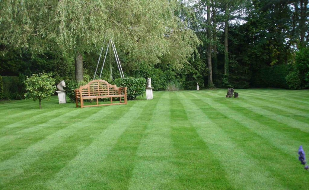 lawn care services