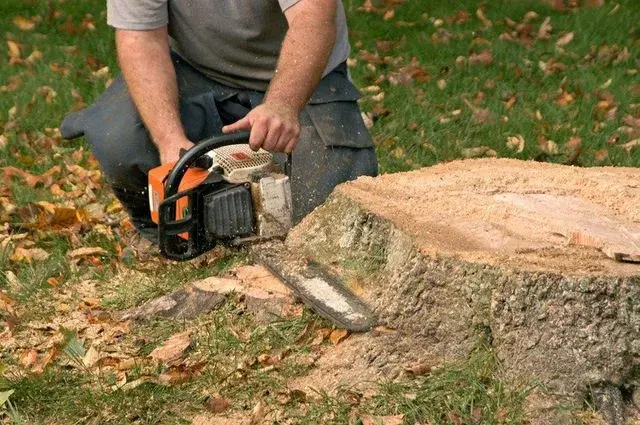 Grinding the Stump