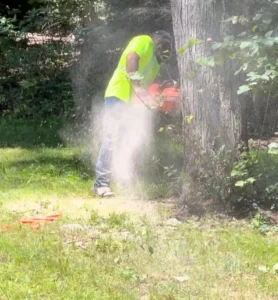 Tree cutting services