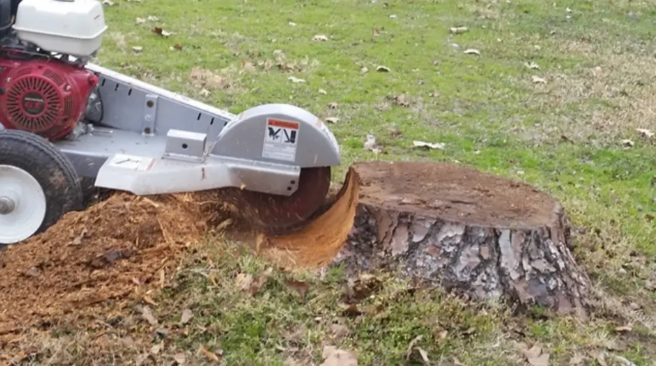 Stump Grinder