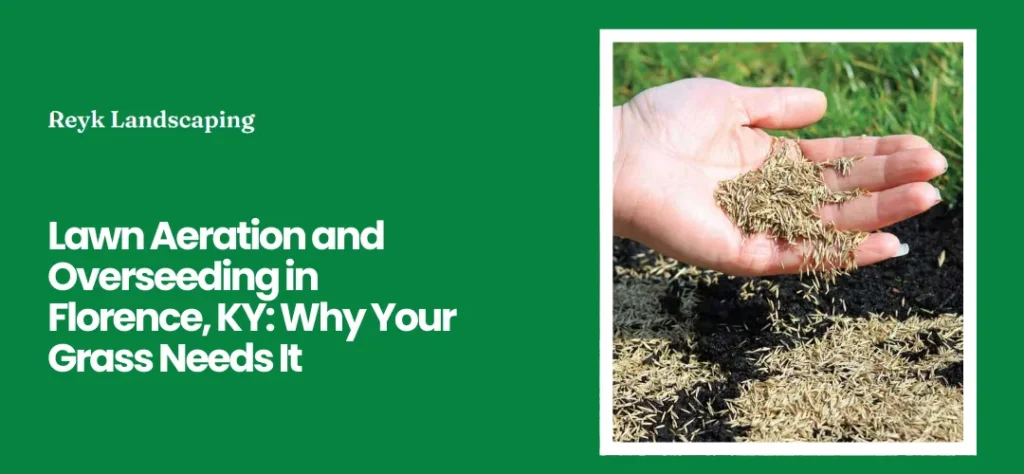 Lawn Aeration Service Near Me