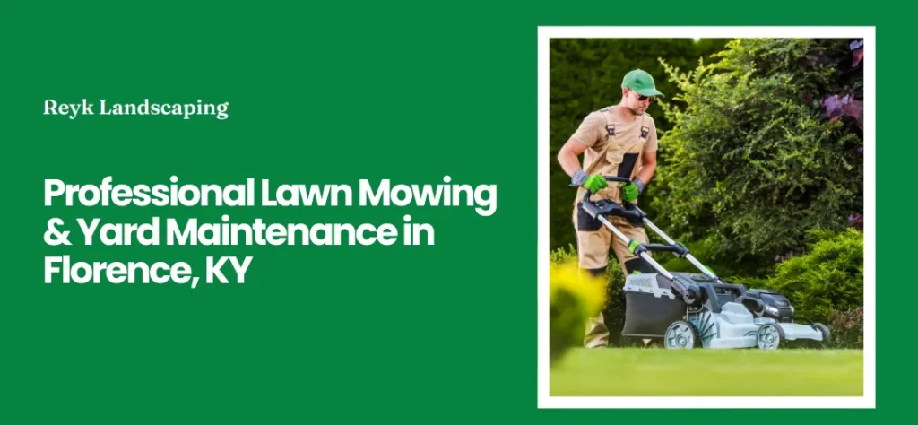 yard and lawn maintenance