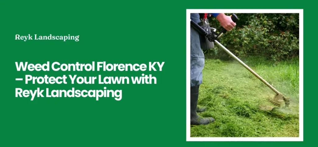 weed control Florence, KY