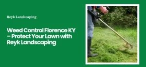 weed control Florence, KY