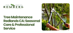 Tree Maintenance Redlands CA