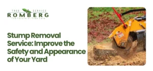 Stump Removal Service Redlands, CA